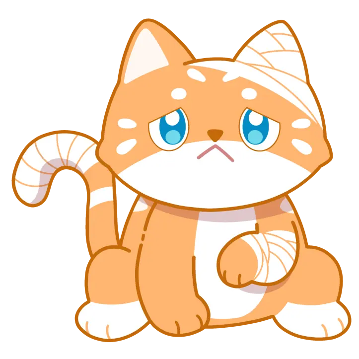 Sad cat